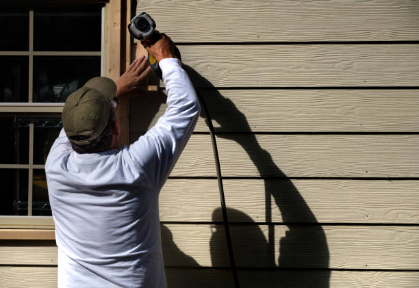 Best Custom Trim and Detailing for Siding  in Ouray, CO